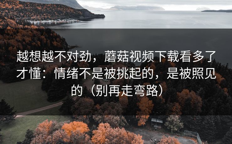 越想越不对劲，蘑菇视频下载看多了才懂：情绪不是被挑起的，是被照见的（别再走弯路）