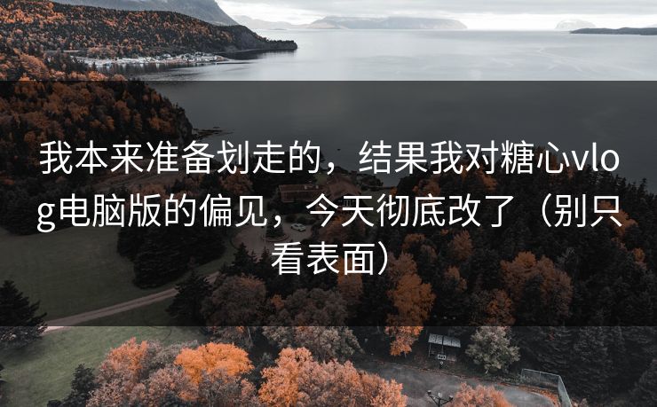 我本来准备划走的，结果我对糖心vlog电脑版的偏见，今天彻底改了（别只看表面）