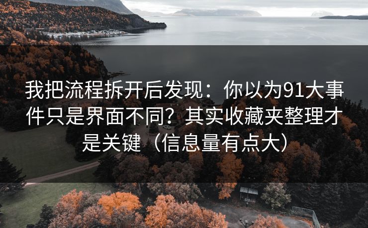 我把流程拆开后发现：你以为91大事件只是界面不同？其实收藏夹整理才是关键（信息量有点大）