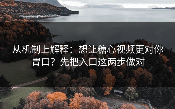 从机制上解释：想让糖心视频更对你胃口？先把入口这两步做对