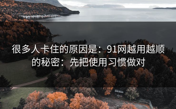 很多人卡住的原因是：91网越用越顺的秘密：先把使用习惯做对