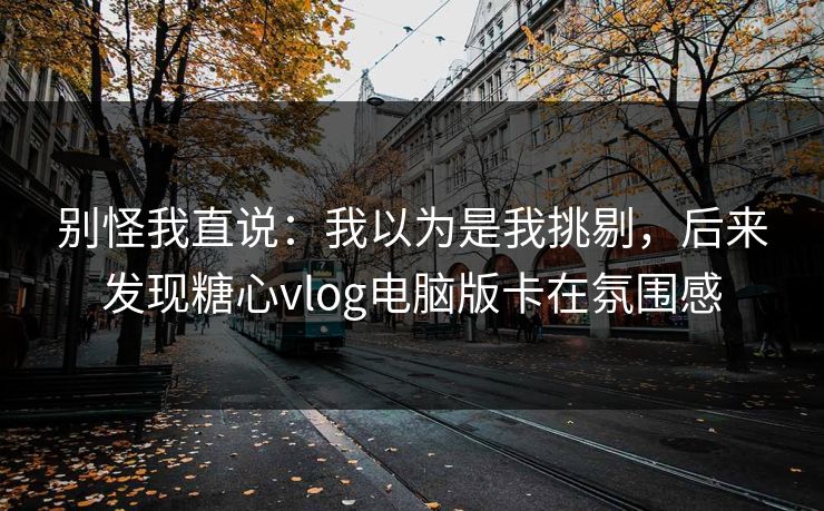 别怪我直说：我以为是我挑剔，后来发现糖心vlog电脑版卡在氛围感
