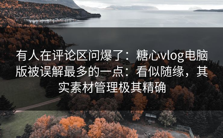 有人在评论区问爆了：糖心vlog电脑版被误解最多的一点：看似随缘，其实素材管理极其精确