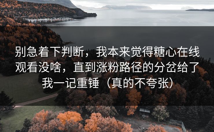 别急着下判断,我本来觉得糖心在线观看没啥,直到涨粉路径的分岔给了我一记重锤(真的不夸张) 别急着下判断,我本来觉得糖心在线观看没啥,直到涨粉路径的分岔给了我一记重锤(真的不夸张)